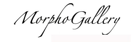 Morpho Gallery Art & Records
