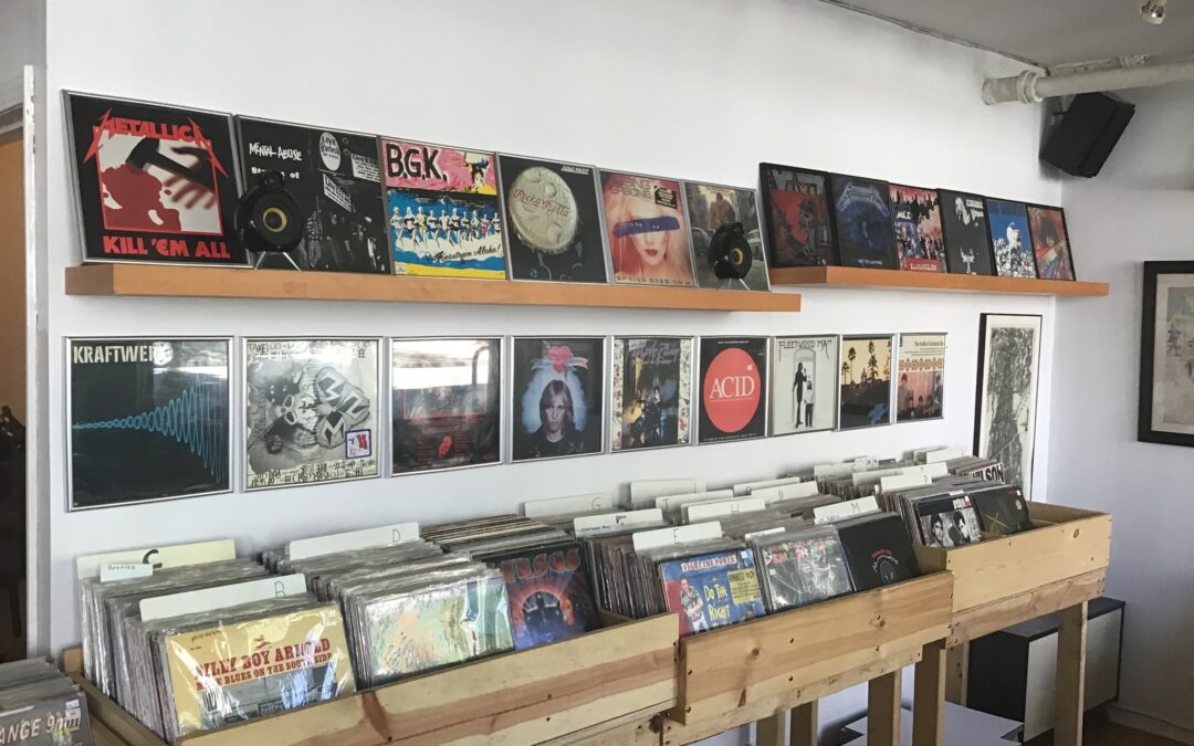 dave's classic and rare lps, at Morpho Gallery, Chicago, IL 60625